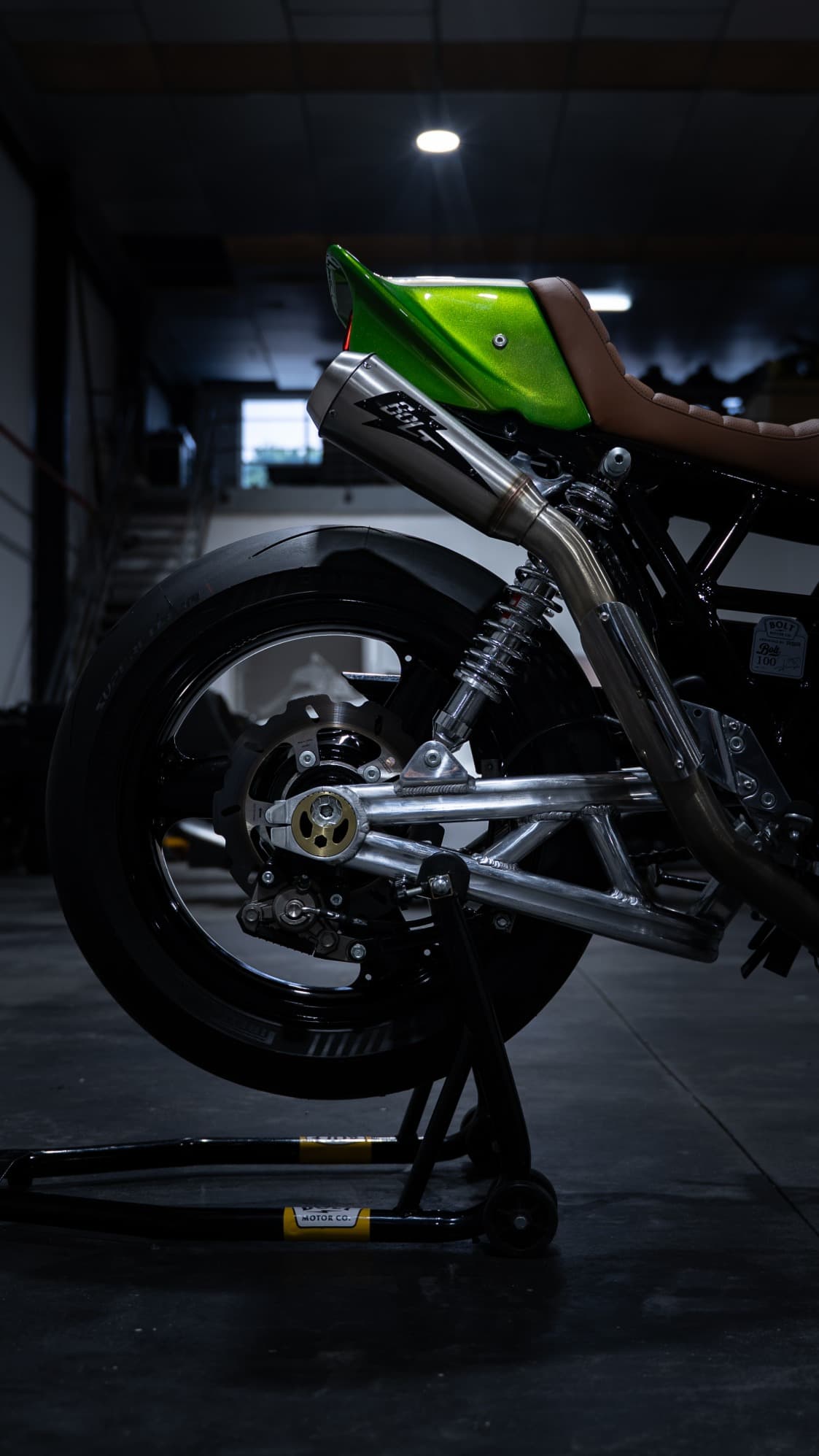 Motor y comportamiento